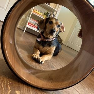 Wooden Cork Yoga Wheel